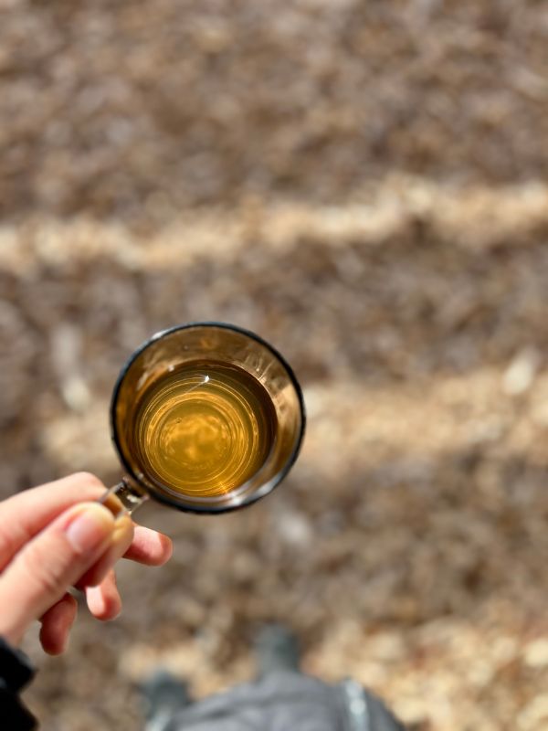 EIlsaufen in Marling mit Kindern in Südtirol (29) Apfelglühmix