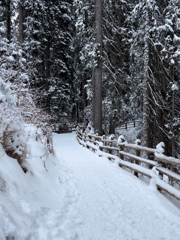 Karersee _Wanderung_Dolomiten_Südtirol mit Kindern_Winter (12) Der Karersee in den Dolomiten im Winter - Südtirol Wanderung mit Kindern