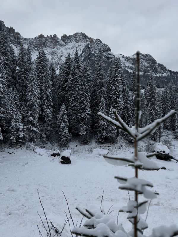 Karersee _Wanderung_Dolomiten_Südtirol mit Kindern_Winter (13) Der Karersee in den Dolomiten im Winter - Südtirol Wanderung mit Kindern