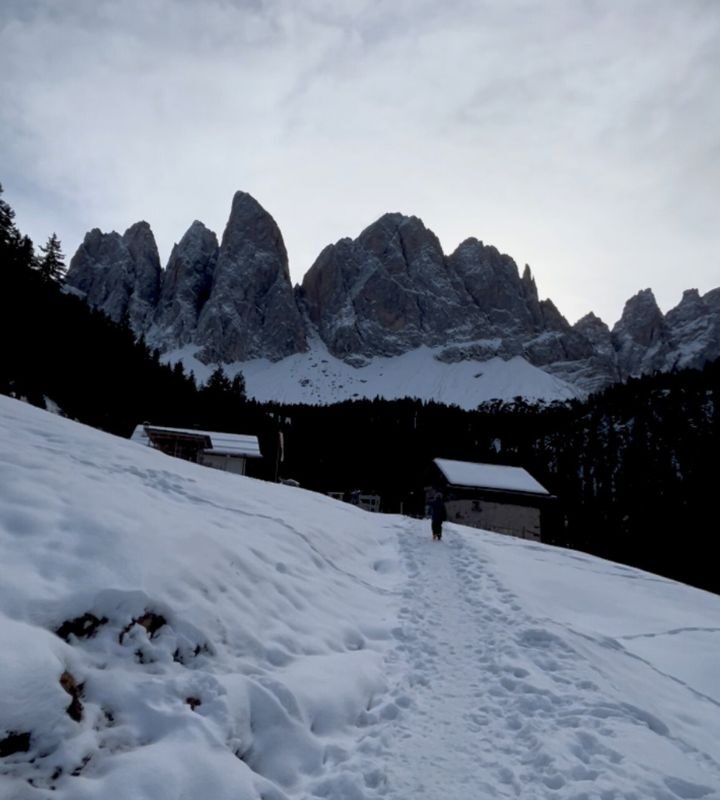 Rodeln mit Kindern in Südtirol - Dusler Alm in Villnöss