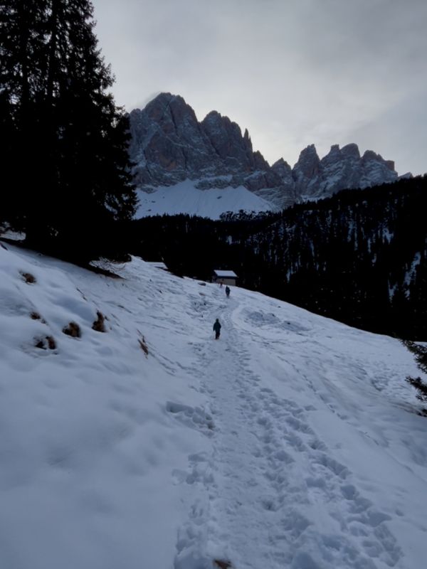 Rodeln mit Kindern in Südtirol - Dusler Alm in Villnöss