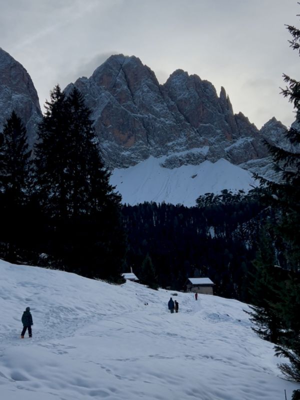 Rodeln mit Kindern in Südtirol - Dusler Alm in Villnöss