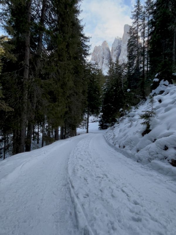 Rodeln mit Kindern in Südtirol - Dusler Alm in Villnöss