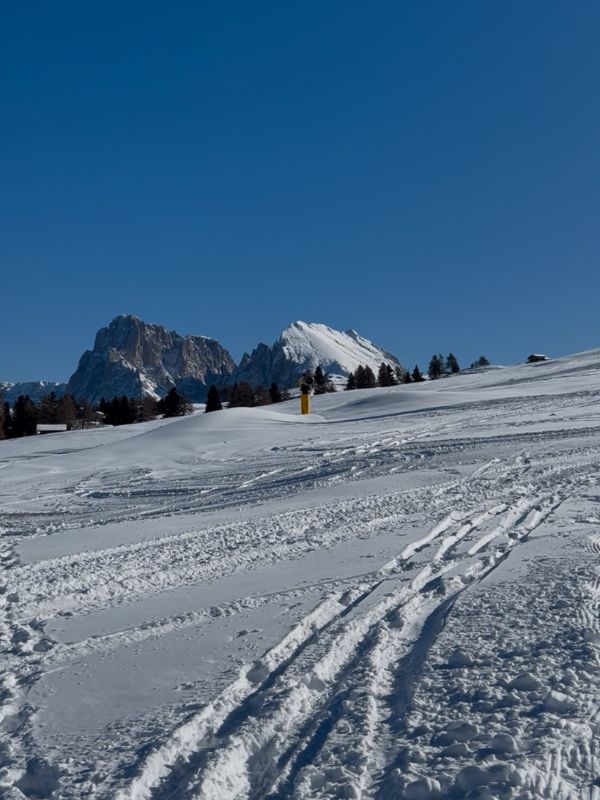Wanderung Seiser Alm mit Kinder - zur Laurin Hütte mit Dolomitenblick (10) Die Seiser Alm im Winter - Wanderung zu Laurinhütte mit Kindern