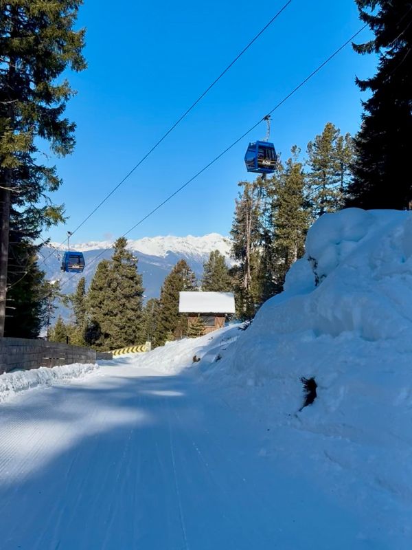 Rodeln auf der Plose in Südtirol (15) Rodeln auf der Plose bei Brixen mit Kindern