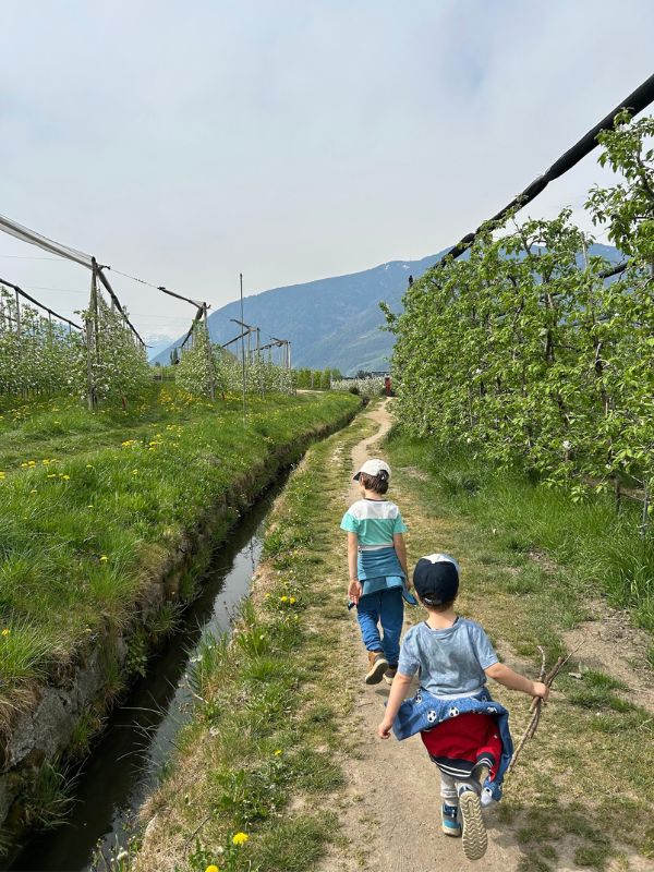 Maiser Waalweg_Kürzere Variante_Wandern mit Kindern bei Meran (10) Maiser Waalweg bei Meran - Wanderung mit Kindern