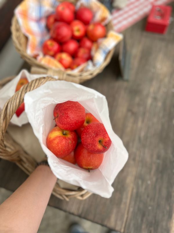 Maiser Waalweg_Kürzere Variante_Wandern mit Kindern bei Meran (2) Maiser Waalweg bei Meran - Wanderung mit Kindern