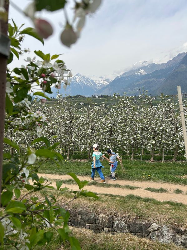 Maiser Waalweg_Kürzere Variante_Wandern mit Kindern bei Meran (5) Maiser Waalweg bei Meran - Wanderung mit Kindern