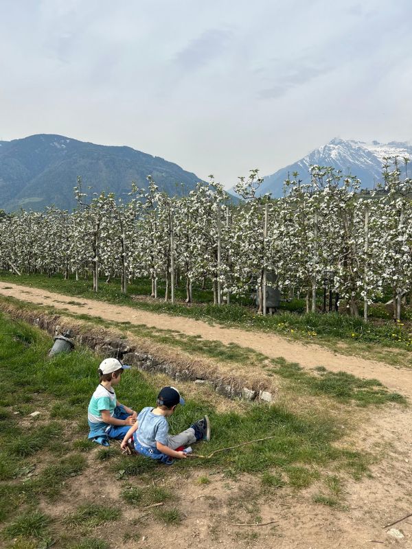 Maiser Waalweg_Kürzere Variante_Wandern mit Kindern bei Meran (7) Maiser Waalweg bei Meran - Wanderung mit Kindern