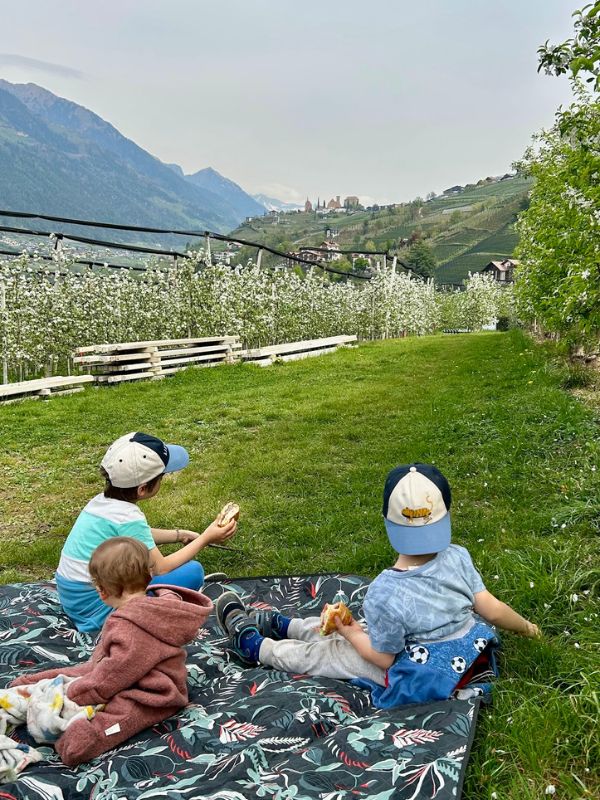 Maiser Waalweg_Kürzere Variante_Wandern mit Kindern bei Meran (8) Maiser Waalweg bei Meran - Wanderung mit Kindern