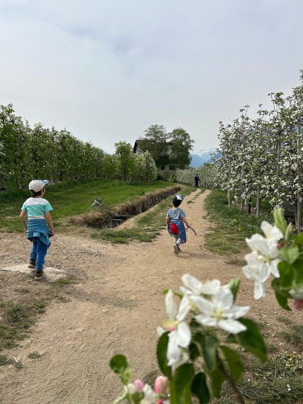 Maiser Waalweg_Kürzere Variante_Wandern mit Kindern bei Meran (9) Maiser Waalweg bei Meran - Wanderung mit Kindern