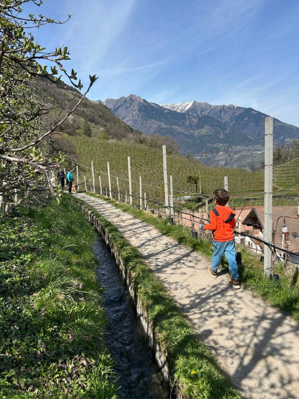 Marlinger Waalweg_Wanderung mit Kindern bei Meran in Südtirol (15) Der Marlinger Waalweg im Frühling