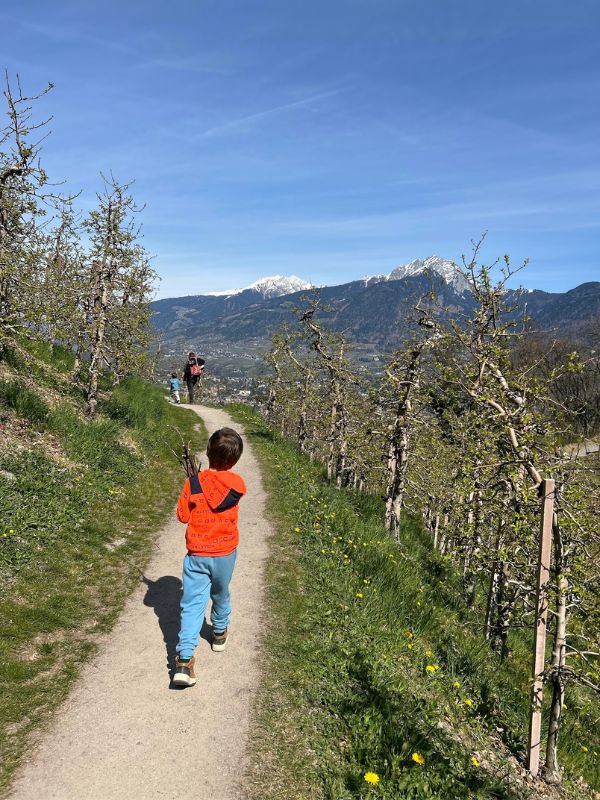 Marlinger Waalweg_Wanderung mit Kindern bei Meran in Südtirol (18) Der Marlinger Waalweg im Frühling