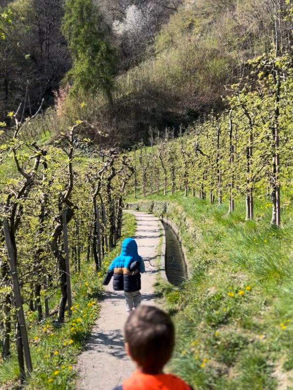 Marlinger Waalweg_Wanderung mit Kindern bei Meran in Südtirol (19) Der Marlinger Waalweg im Frühling