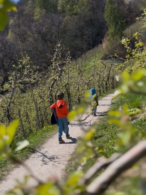 Marlinger Waalweg_Wanderung mit Kindern bei Meran in Südtirol (20) Der Marlinger Waalweg im Frühling