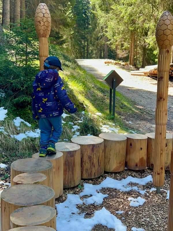 Saurierpfad Geoparc Bletterbach Aldein_Wanderung mit Kindern (12) Saurierpfad im Geoparc Bletterbach in Aldein in Südtirol - Familienführung