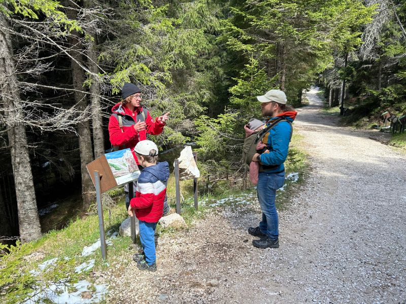Saurierpfad Geoparc Bletterbach Aldein_Wanderung mit Kindern (28) Saurierpfad im Geoparc Bletterbach in Aldein in Südtirol - Familienführung
