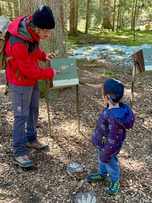 Saurierpfad Geoparc Bletterbach Aldein_Wanderung mit Kindern (6) Saurierpfad im Geoparc Bletterbach in Aldein in Südtirol - Familienführung