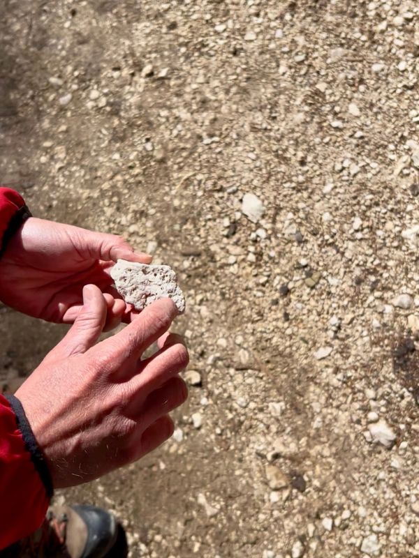 Saurierpfad Geoparc Bletterbach Aldein_Wanderung mit Kindern (9) Saurierpfad im Geoparc Bletterbach in Aldein in Südtirol - Familienführung