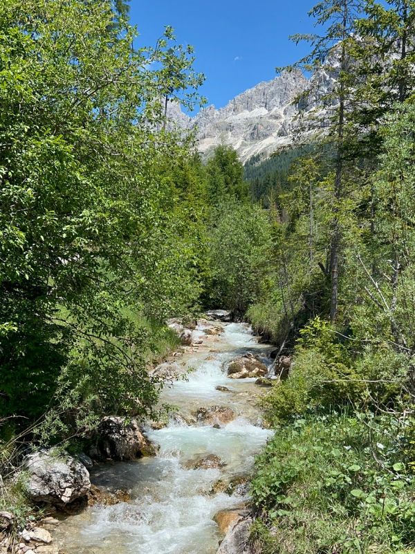König Laurin Tour_Carezza Dolomites_Rosengarten Wanderung mit Kindern (27) König Laurin Tour am Rosengarten - Carezza Dolomites - Wandern mit Kindern in den Dolomiten in Südtirol