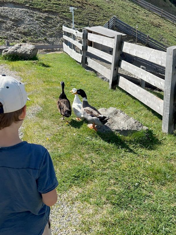 Urelsteig in Reinswald im Sarntal - Wanderung mit Kindern (14) Der Urlesteig in Reinswald im Sarntal - Wanderung mit Kindern bei Bozen