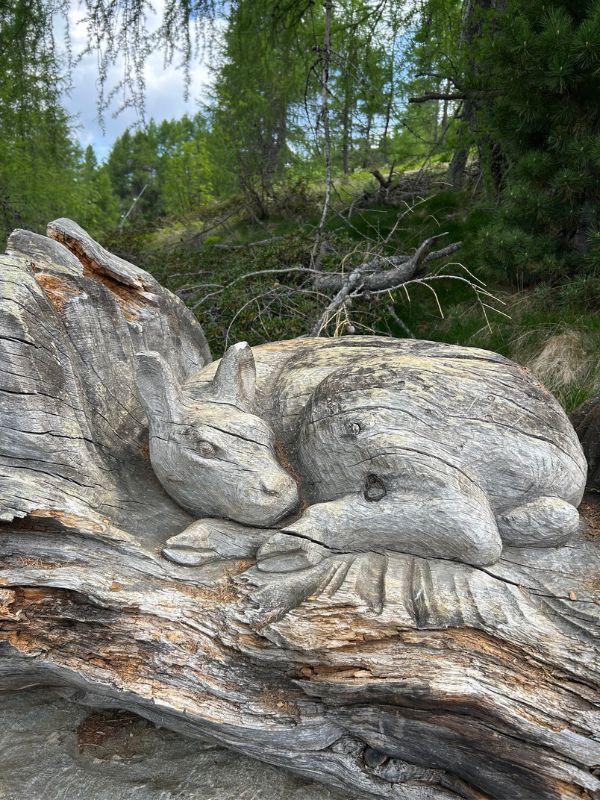 Urelsteig in Reinswald im Sarntal - Wanderung mit Kindern (22) Der Urlesteig in Reinswald im Sarntal - Wanderung mit Kindern bei Bozen