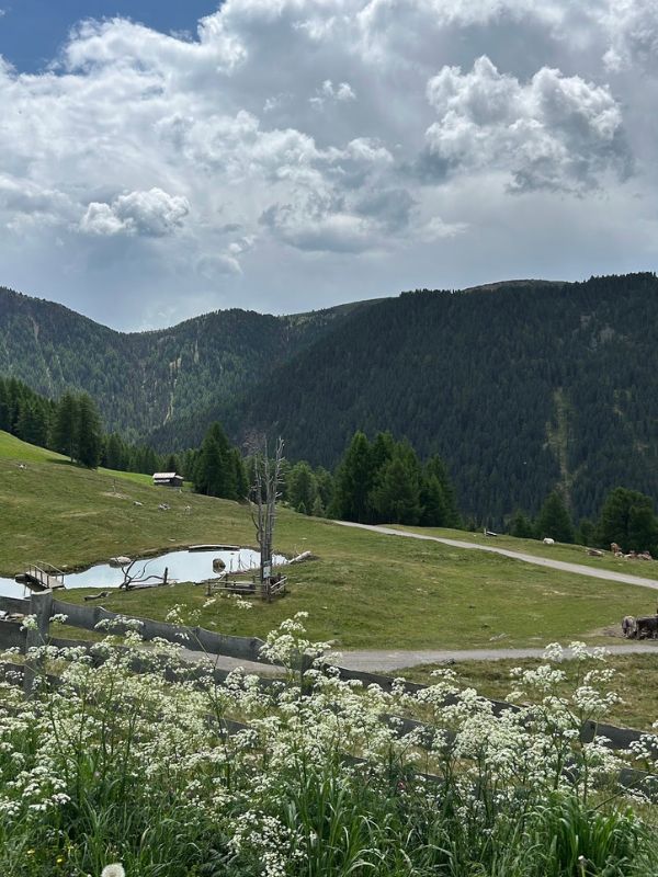 Urelsteig in Reinswald im Sarntal - Wanderung mit Kindern (25) Der Urlesteig in Reinswald im Sarntal - Wanderung mit Kindern bei Bozen