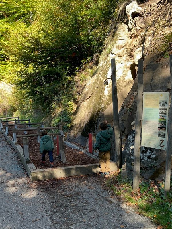 Haflinger Erlebnisweg_Hafling bei Meran_Wanderung mit dem Kinderwagen (16) Haflinger Erlebnisweg_Wanderung mit dem Kinderwagen bei Mera