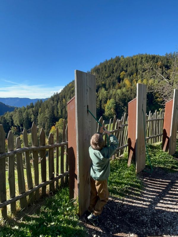 Haflinger Erlebnisweg_Hafling bei Meran_Wanderung mit dem Kinderwagen (18) Haflinger Erlebnisweg_Wanderung mit dem Kinderwagen bei Mera