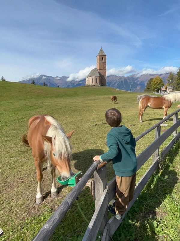 Haflinger Erlebnisweg_Hafling bei Meran_Wanderung mit dem Kinderwagen (26) Haflinger Erlebnisweg_Wanderung mit dem Kinderwagen bei Mera