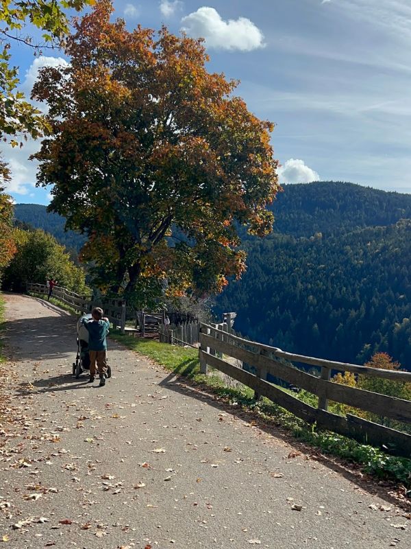 Haflinger Erlebnisweg_Hafling bei Meran_Wanderung mit dem Kinderwagen (27) Haflinger Erlebnisweg_Wanderung mit dem Kinderwagen bei Mera